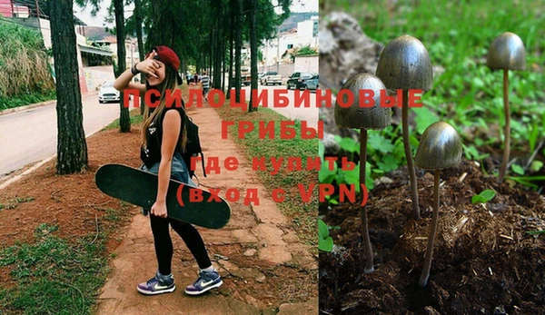 сатива Слюдянка