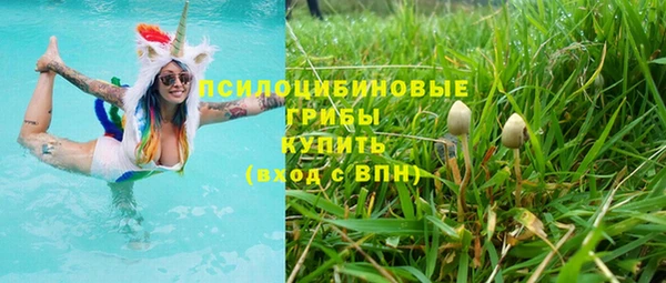 дурь Шали