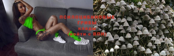 твердый Шарыпово