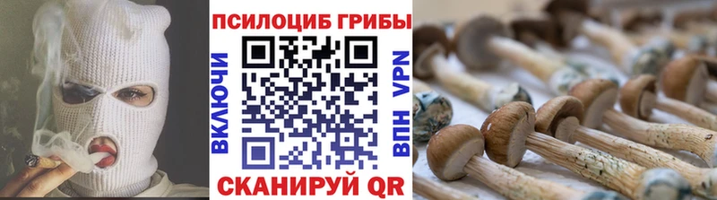 Псилоцибиновые грибы Magic Shrooms  наркота  нарко площадка официальный сайт  Старый Крым 